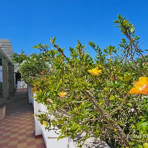https://salinya-private-rooms-n125-olho.hotelaalgarve.com